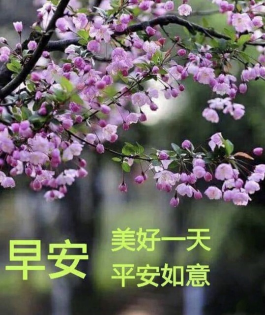 按我可連結至更清楚的圖片